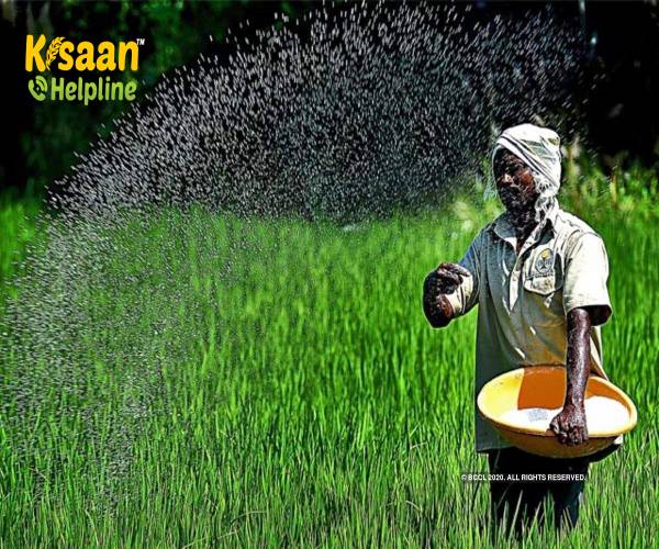 Good News:सरकार कर रही है मंथन किसानो को उर्वरक सब्सिडी देने के लिए Good News:सरकार कर रही है मंथन किसानो को उर्वरक सब्सिडी देने के लिए